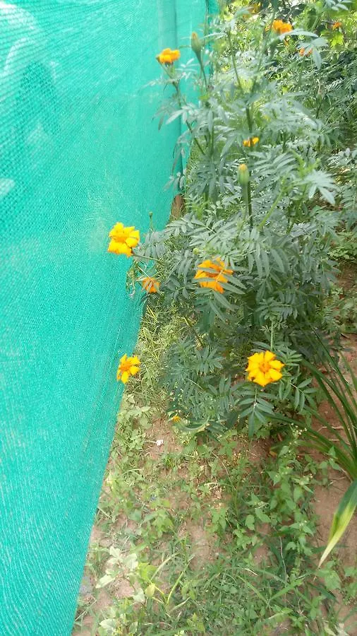 ** فندق Kanthalloor Vyas Villas الهند