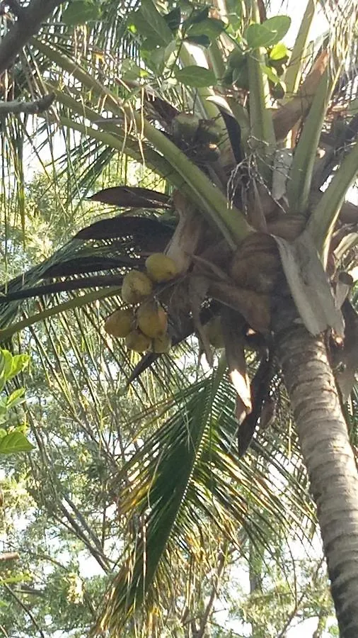 Kanthalloor Vyas Villas 2*,